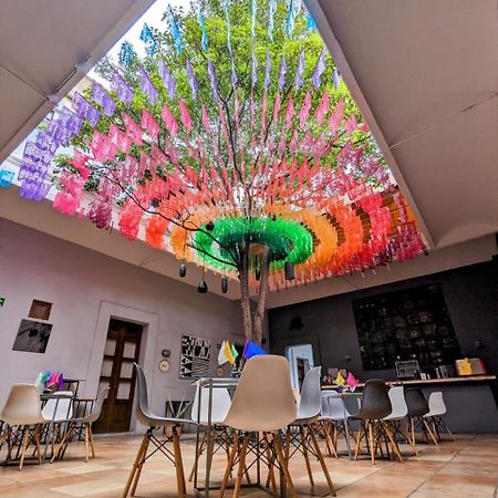 Bkl Hotel Oaxaca المظهر الخارجي الصورة