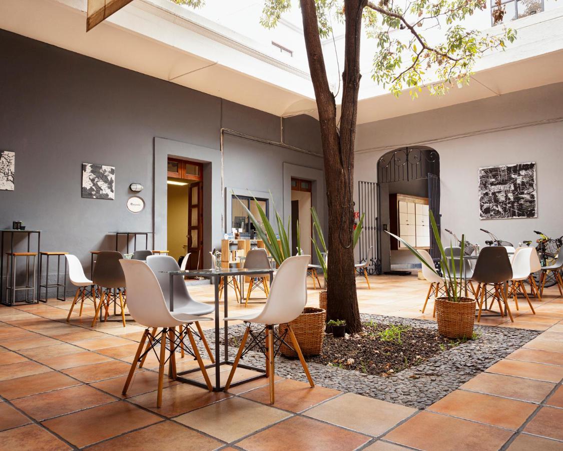 Bkl Hotel Oaxaca المظهر الخارجي الصورة
