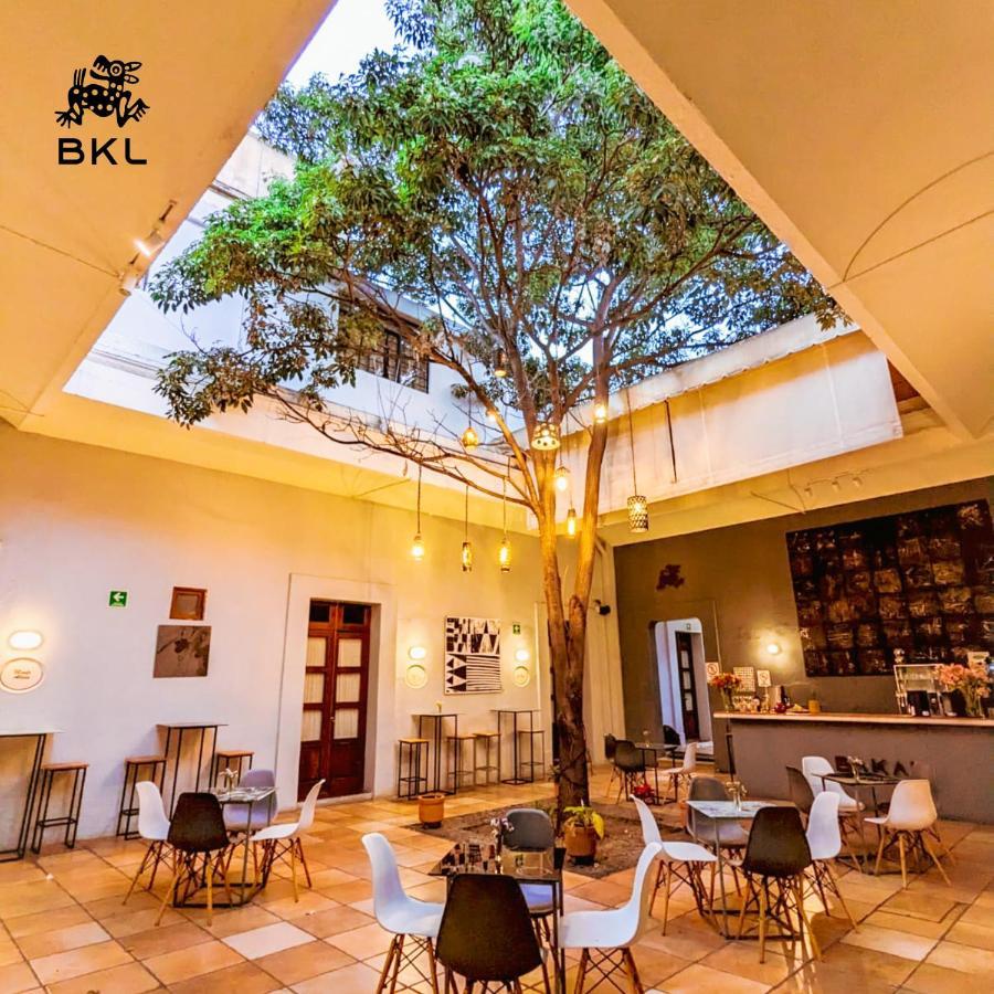 Bkl Hotel Oaxaca المظهر الخارجي الصورة
